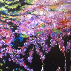 Cerisier-en-fleurs-1,30mx80cm